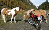 Motoalpinismo PASSO DORDONA - 083